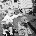 HawleyFilm 181
