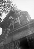 HawleyFilm 390
