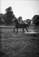 HawleyFilm 398