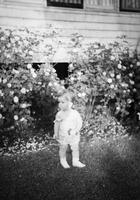 HawleyFilm 412