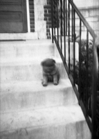 HawleyFilm 432