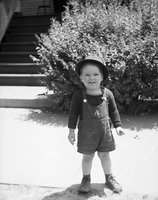 HawleyFilm 442