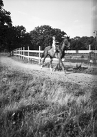 HawleyFilm 448