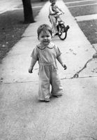 HawleyFilm 460